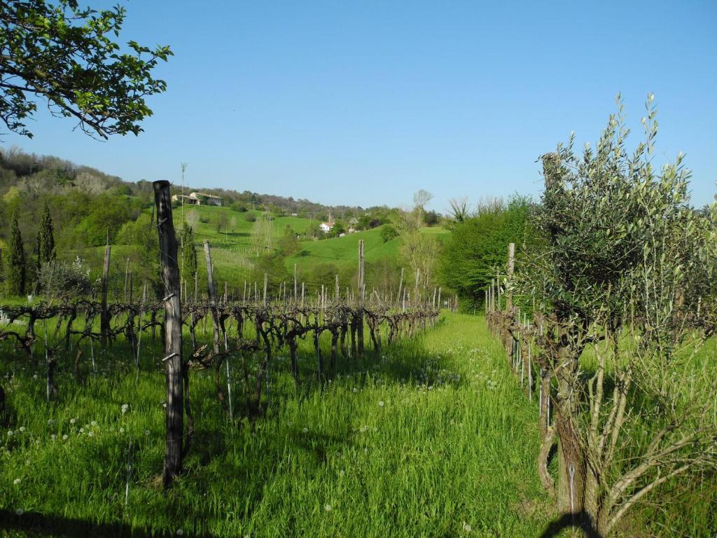Agriturismo Cornolere Villa Castelcucco Buitenkant foto
